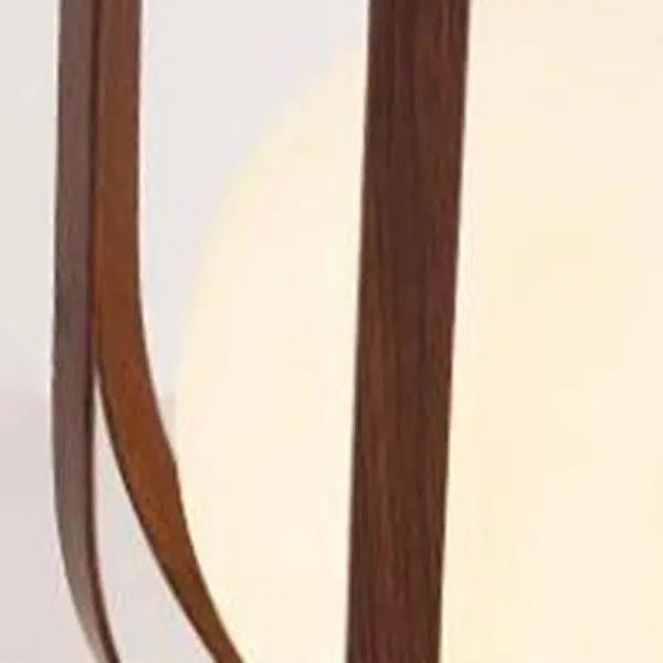 Modern Minimalist Round Skeleton Globe Waterproof PE Iron 1-Light Lawn Landscape Light For Garden - Image 7