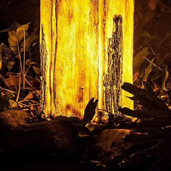 Modern Art Deco Solar Waterproof Resin Fiberglass Cylinder Tree Stump Wood Grain LED Landscape Lighting Outdoor Light For Garden - Image 12