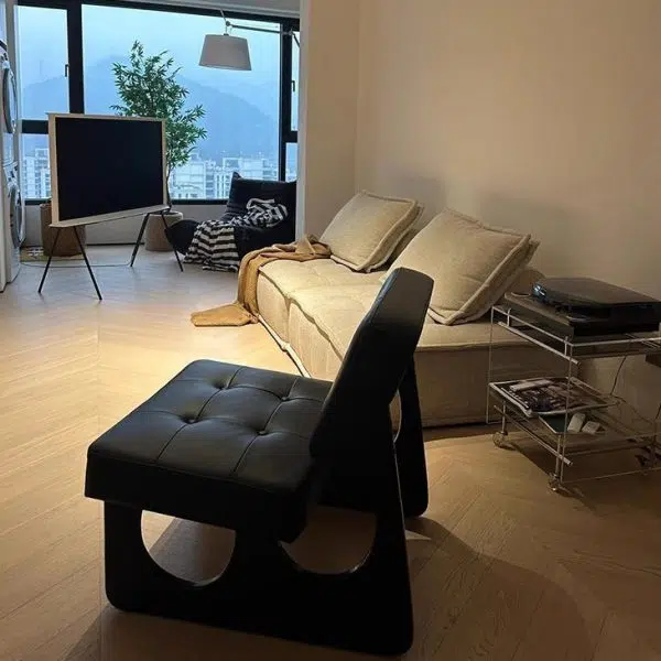 Modern Art Deco Leather Solid Wood Sofa Backrest Armless For Living Room - Image 7