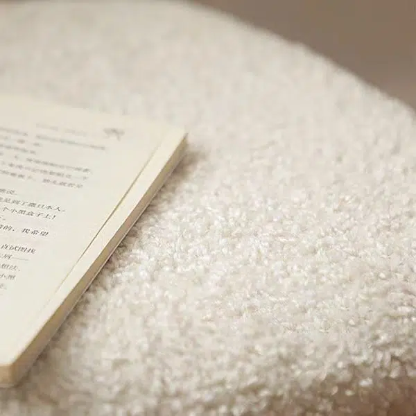 Contemporary Creative Crab Shape Lambswool Stainless Steel Vanity Stool Backrest Armless For Bedroom - Image 5