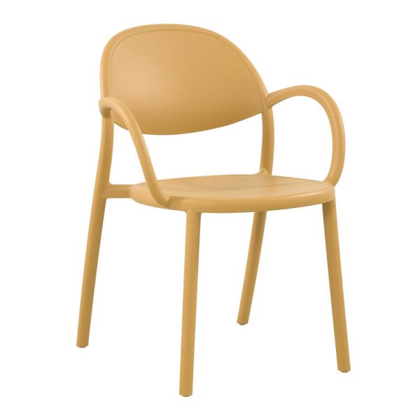 Contemporary Nordic Arc Full PP Dining Chair Backrest Armrest For Dining Room - Image 25