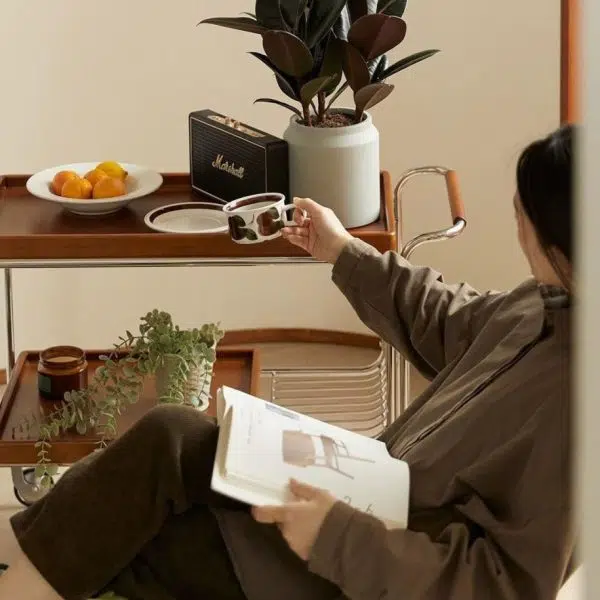 Contemporary Retro Rectangular Wooden Stainless Steel Dining Cart 2-Tier For Dining Room - Image 3