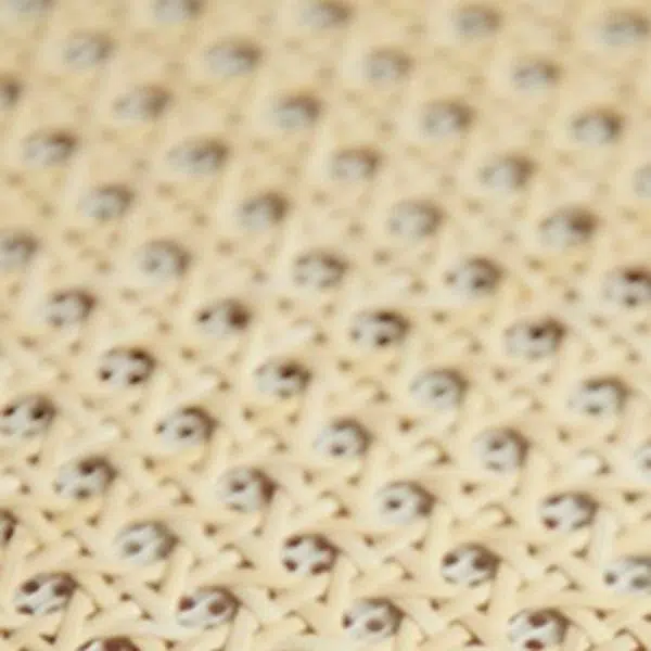 Contemporary Nordic Round Rattan Wood Fabric Chair Backrest Armless For Living Room - Image 6