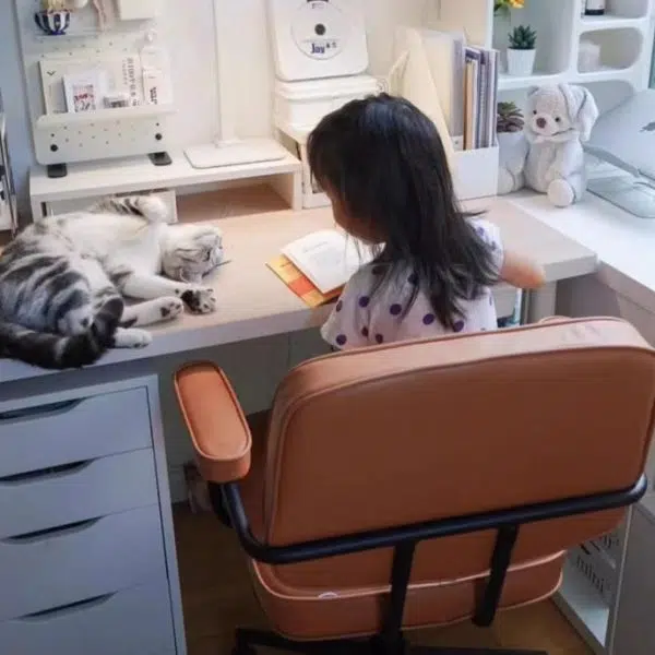 Modern Minimalist Leather Nylon Rectangular Desk Chair Backrest Armrest For Home Office - Image 20