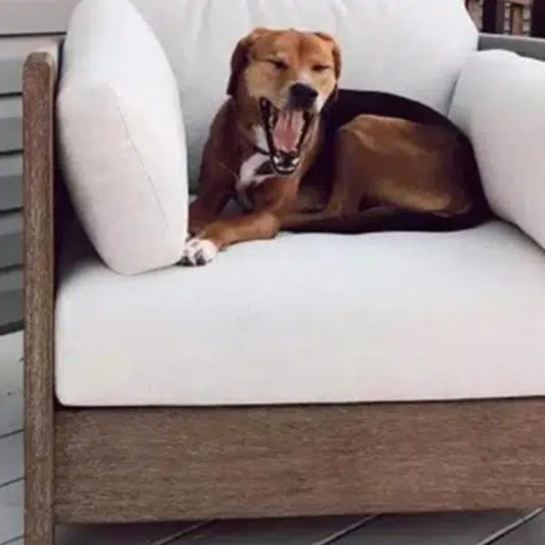 Modern Luxury Square Solid Wood Sponge Rope Outdoor Sofa Backrest Armrest For Outdoor - Image 5