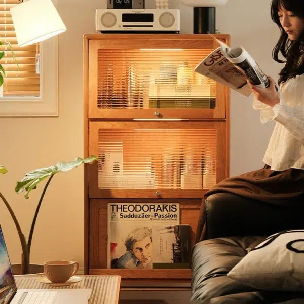 Contemporary Scandinavian Pine Glass Stainless Steel Metal Curved Rectangle Side Table 3-Storage For Living Room & Dining Room - Image 2