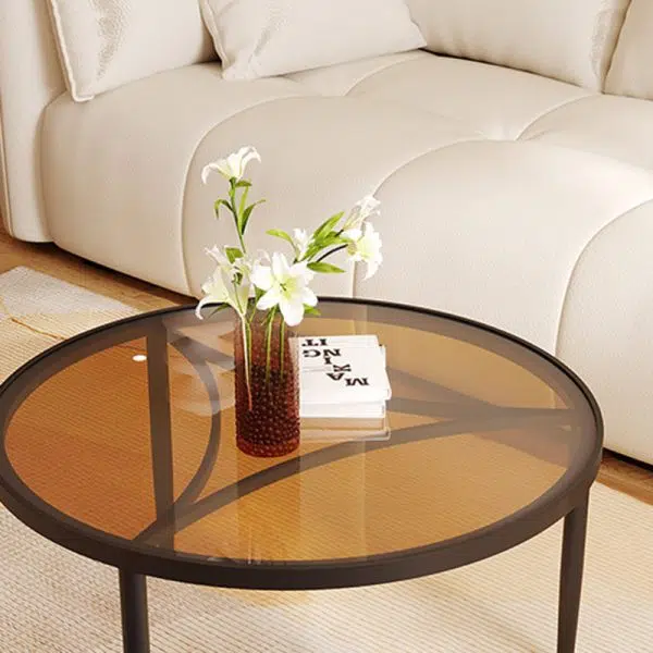 Contemporary Luxury Tempered Glass Iron Wood Coffee Table 1-Tier For Living Room - Image 11