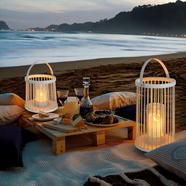 Outdoor Waterproof Garden Light Rechargeable Portable Cage Landscape Lighting with US Plug - Image 5